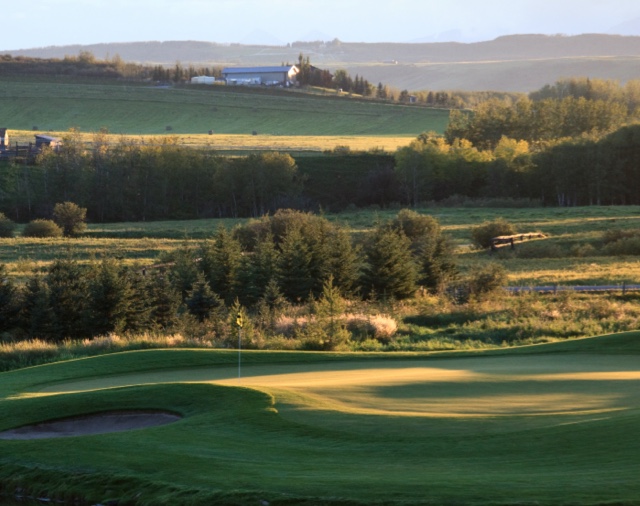 Golf course greens.