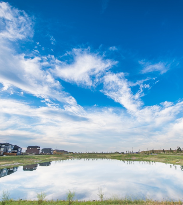 Reflection of blue sky through a large pond.