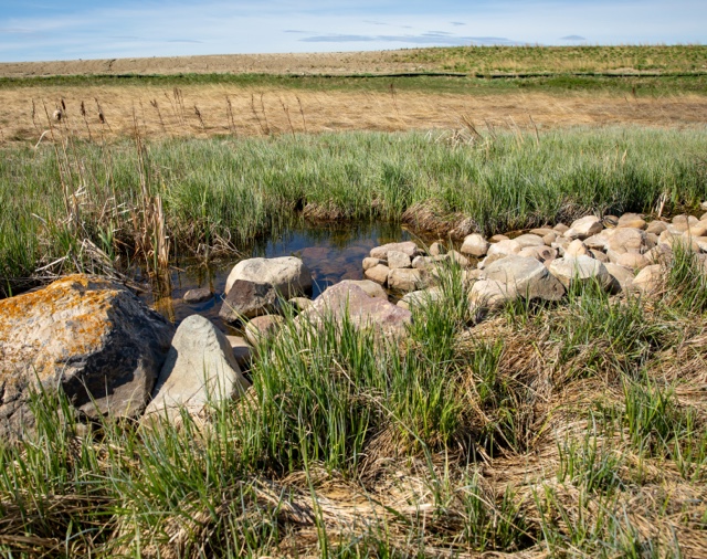 Rocks and grass by a pond.