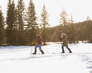 Two people snowshoeing in the trees.