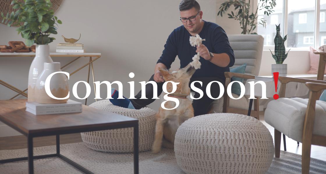 Home model image