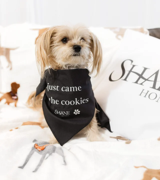 The dogs of Vermilion Hill 🐶

Choosing a home means thinking about your whole family, including the dog. Vermilion Hill is a great choice for pet owners, with nearby walking trails and easy access to Fish Creek Park. You and your furry friends will feel right at home! 

#Calgary #calgaryliving #vermilionhill #calgaryhomebuilder #shanehomes #dogsofcalgary
