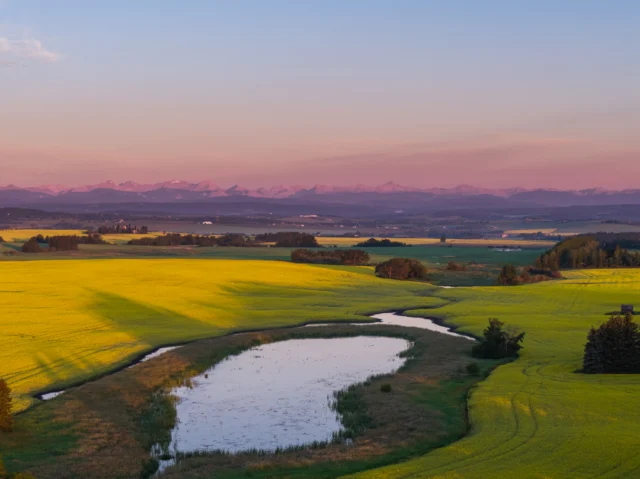 It's rare to find views like this in Calgary 😍

Vermilion Hill is a hidden gem in SW Calgary (but don't worry, we're not going to gatekeep).

Located off of 154th Ave and Fish Creek Blvd, Vermilion Hill is the perfect community for those who love to spend time outside, be close to the mountains, but still connected to the city when needed.

This community already has several walking trails, playgrounds, and a pond complete, and there are even more amentities on the way including a future school site and retail options.

Vermilion Hill is also a Dark Sky Community, is only 10 minutes from Fish Creek Park, and about 30 minutes from Bragg Creek.

We're building Street Towns, Duplexes, and Laned Homes, so there is truly something for every home buyer.

We'd love for you to drop by our Welcome Centre anytime. Visit us at
📍1296 Alpine Ave SW

#vermilionhill #calgary #southwestcalgary #calgaryhomes #calgaryliving